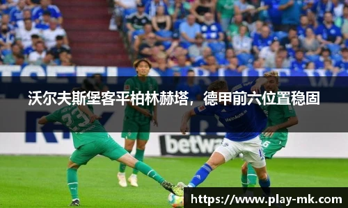 mk体育官方网站