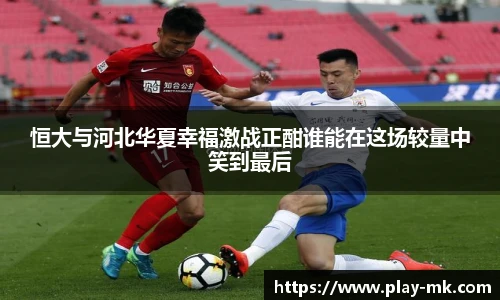 mk体育官方网站